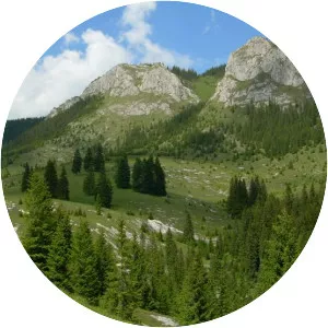 Munții Zarandului - 