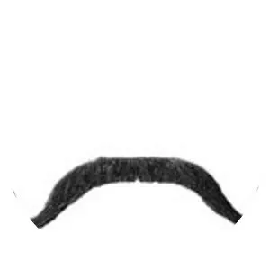 Munchkin Mayor - Fictional character