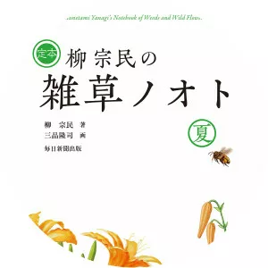 Munetami Yanagi photograph