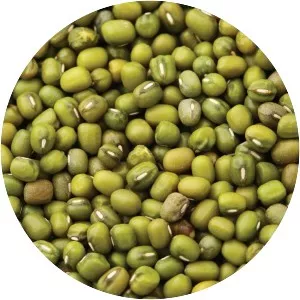 Mung bean - 
