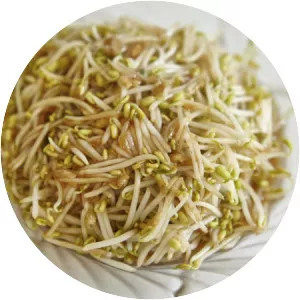 Mung bean sprout - 