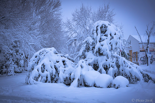 municipal de calistenia Park - Park in San Martin de la Vega, Spain