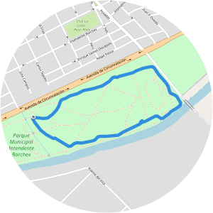 Municipal Intendente Borchex Park Junín