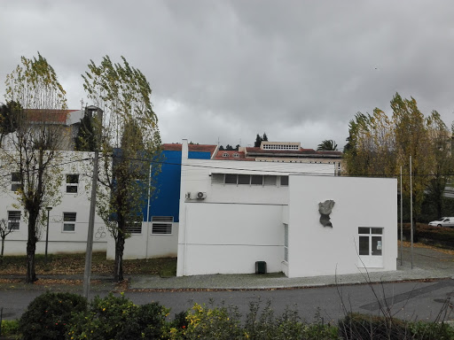 Municipal pool Rebordosa