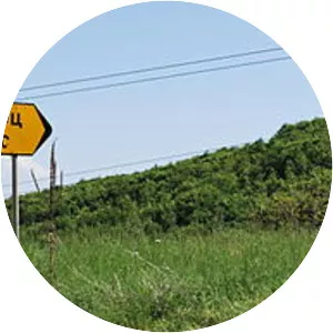 Municipality of Tetovo - 