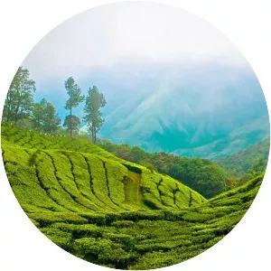 Munnar