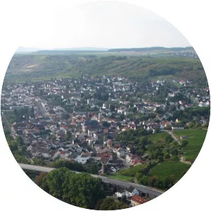 Münster-Sarmsheim