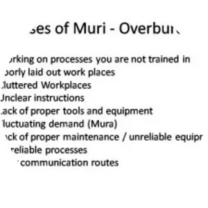 Muri