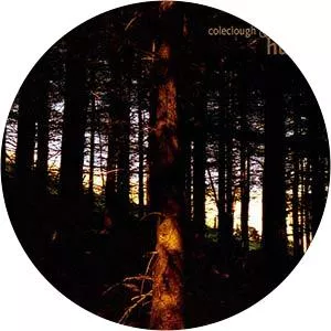 Murmer - Musical artist