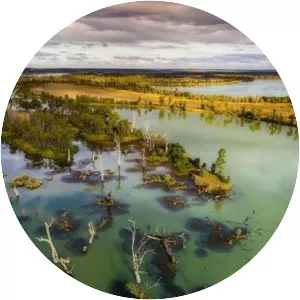 Murray–Darling basin