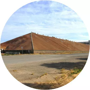 Murtoa Stick Shed - 