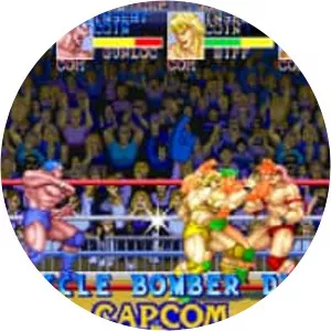 Muscle Bomber Duo: Ultimate Team Battle - Video game