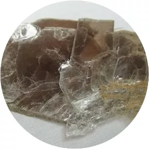 Muscovite photograph