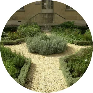 Musée de l'Assistance Publique – Hôpitaux de Paris