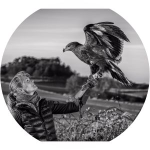 musée du samsoe falkecenter samsø aps