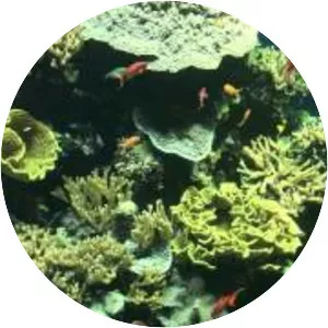 Musée océanographique de Monaco