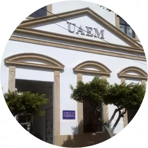 Museo de Arte Indígena Contemporáneo, Cuernavaca - 