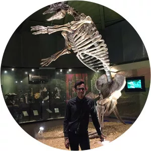 Museo de Paleontología Eliseo Palacios Aguilera - 