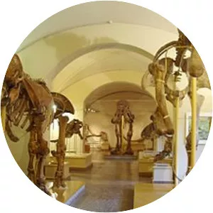 Museo di Storia Naturale di Firenze - Museum in Florence