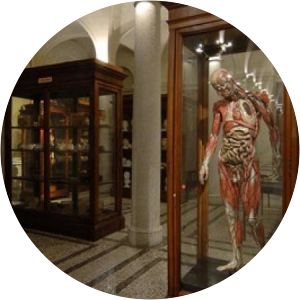 Museum of Human Anatomy Luigi Rolando