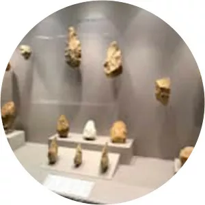 Museum of Lebanese Prehistory - 