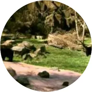 Museum of Life and Science