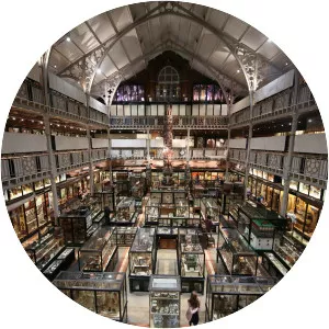 Museum Of Natural History