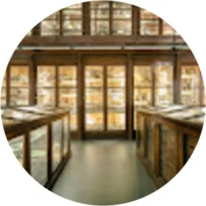 Museum of Zoology Doderlein