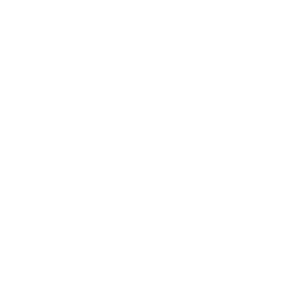 Music and Beyond - Music Festival