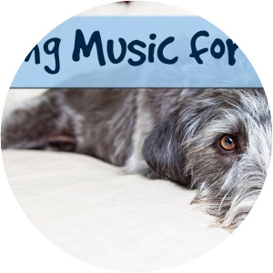 Music For Dogs