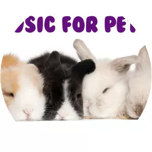 Music for Pets - Musical artist