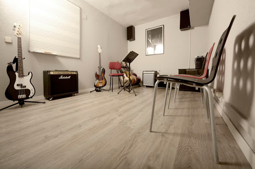 Music Institute of Madrid