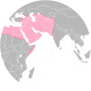 Muslim conquest of the Maghreb