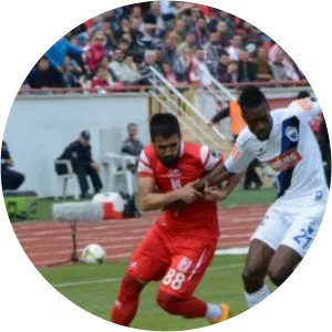 Mustafa Simsek Ozkes