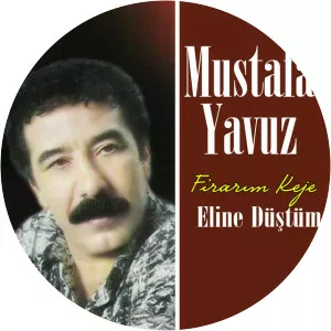 Mustafa Yavuz - Musical artist