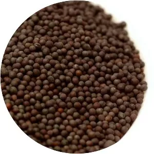 Mustard seed