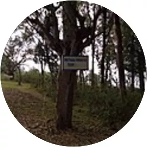 Mutaga IV of Burundi