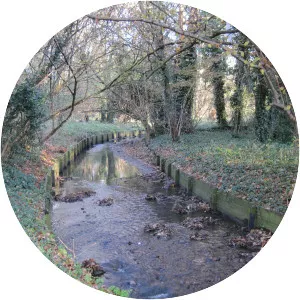 Mutton Brook - Stream in England