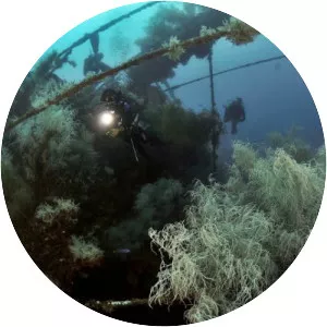 MV Doña Marilyn - Ferry