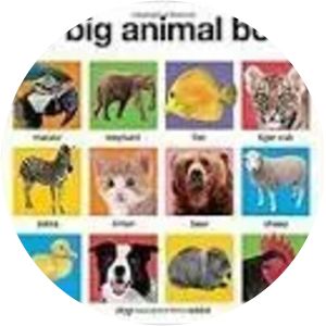My Big Animal World Book