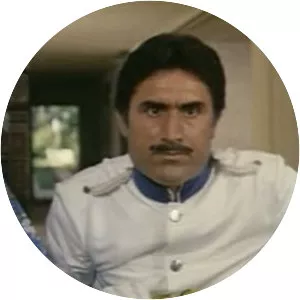 My Darling Domestic - 1974 ‧ Comedy ‧ 1h 34m