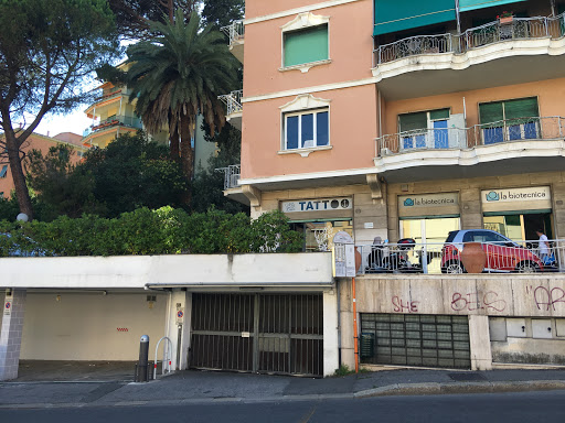 My Deer Tattoo - Tattoo shop in Genoa, Italy