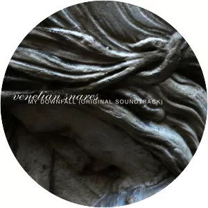 My Downfall (Original Soundtrack)