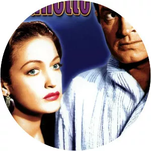 My Favorite Brunette