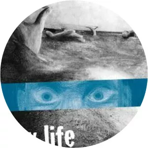 My Life As a Fish - Book by Paul Allen