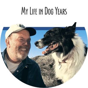 My Life in Dog Years
