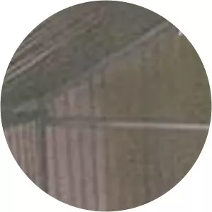 My Side of the Matter