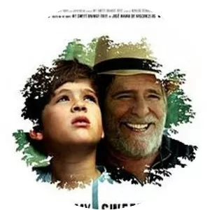 My Sweet Orange Tree