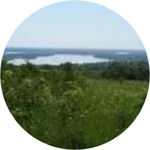 Mykhailivska Tsilyna Nature Preserve - 