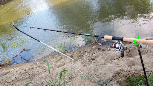 Mykolaiv Regional State Hospital Veterinary Medicine - Animal hospital in Drohovyzh, Ukraine